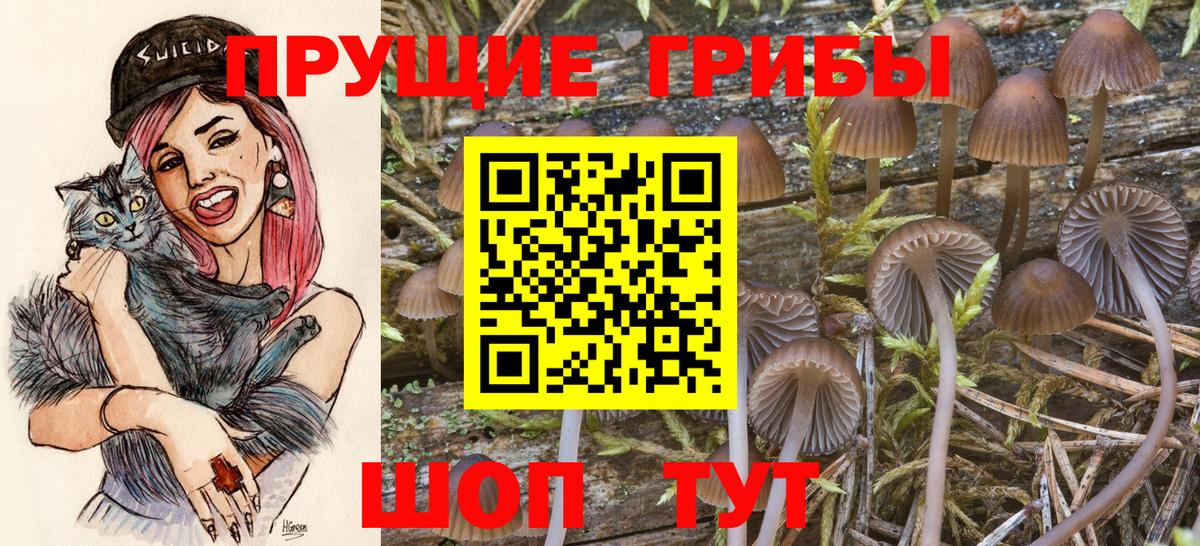 Владимир  Псилоцибиновые грибы мицелий  Псилоцибиновые грибы ЛСД  купить   Вход с VPN 
